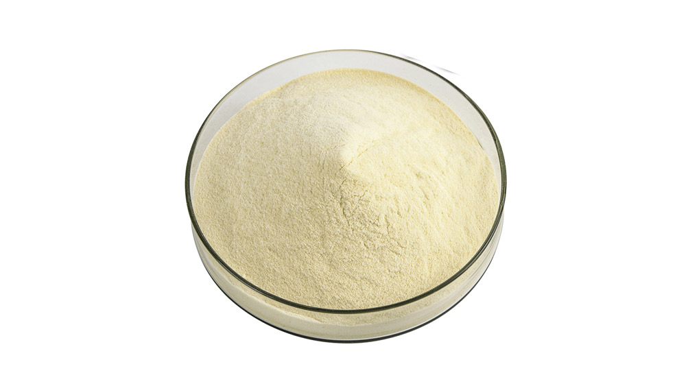 Freeze Dried İncir