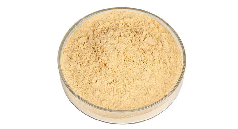 Freeze Dried Kayısı
